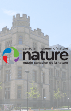 Canadian Museum of Nature = Musée Canadien De La Nature